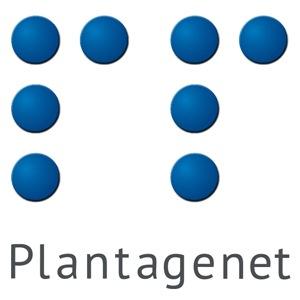 Profile Photo of Plantagenet Partners (@PlantagenetLLP) on Twitter