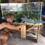 Profile Picture of Nicholas Blackburn (@traveller_nic) on Instagram