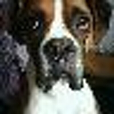 Profile Picture of Dwayne Copeland (@Veganlifecoach) on Twitter