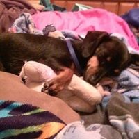 Profile Picture of Melanie Conover Minkler (@melanie-conover-minkler) on Quora