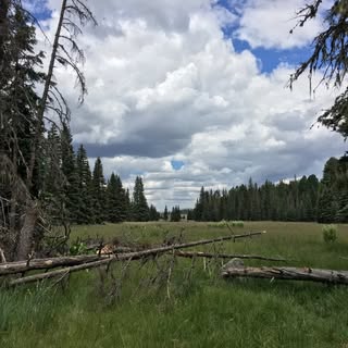 Profile Picture of Bruce Goode (@bruce.goode) on Instagram