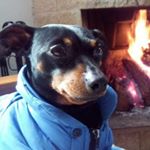 Profile Picture of carlos.lloreda (@carlos.lloreda) on Instagram