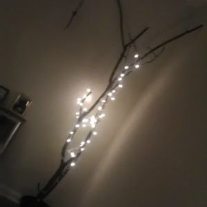 Profile Picture of Kate Riggs (@KateRig21754697) on Twitter