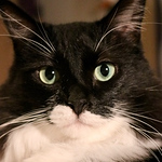 Profile Picture of Amanda Morgan (@brookem424) on Flickr