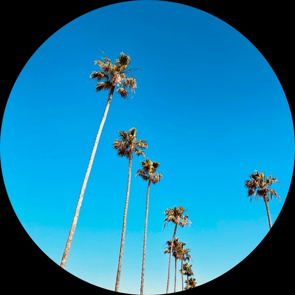 Profile Picture of Bree Gonzales (@closetcase82) on Poshmark