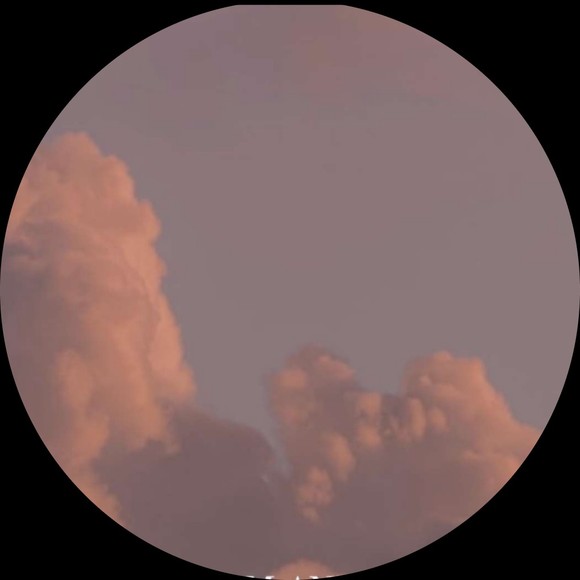 Profile Picture of Glacee Gaufres (@glaceegaufres) on Poshmark