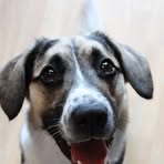 Seth Schubert - Facebook Profile Picture of Seth Schubert (@seth.schubert.56) on Facebook