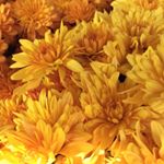 Profile Picture of Bennett Rowe (@bennettrowephotography) on Instagram