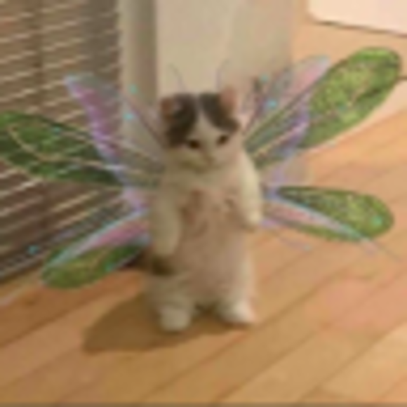 Daphne Vasilakis - Poshmark Profile Picture of Daphne Vasilakis (@daphnevasilakis) on Poshmark