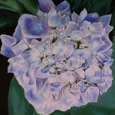 Profile Picture of SunnyQuinn (@FaberCody) on Twitter