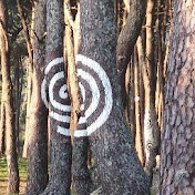 Profile Picture of Luis Lechuga (@66lechuga) on Youtube