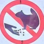 Profile Picture of Kevin Tickle (@kevintickle) on Instagram