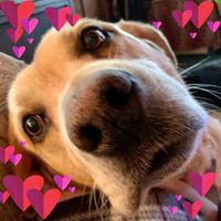 Profile Picture of Nancy Murtha (@nancy-murtha-5) on Quora