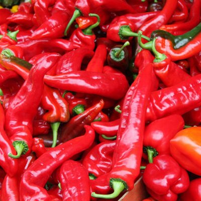 Profile Picture of Johnathan Gates (@JohnathanGates5) on Twitter