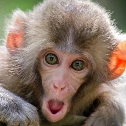 jan.polski - Tiktok Profile Picture of jan.polski (@jan.polski) on Tiktok