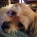 Profile Picture of Chuck Segrest (@chuck.segrest) on Facebook
