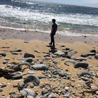 Randy Brito - Quora Profile Picture of Randy Brito (@randy-brito-2) on Quora