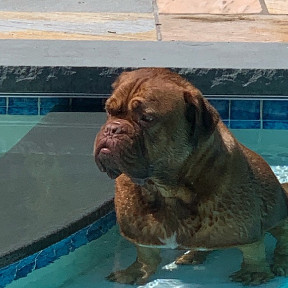 Profile Picture of Adam Kossoy (@adamkossoy) on Poshmark