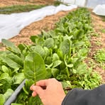 Profile Picture of Laila Alizadeh (@Laila-Alizadeh) on Facebook