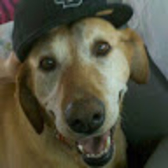 Tracey Alexander - Poshmark Profile Picture of Tracey Alexander (@talex1989) on Poshmark