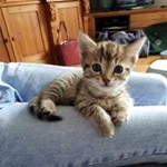 Profile Picture of Iona Marquez-Higgins (@iisky11) on Instagram