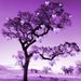 Profile Picture of Lisa Rogers Jaggie (@suhweet) on Pinterest