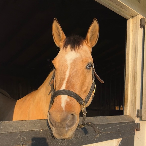 Profile Picture of Madison Gransden (@m_gransden) on Poshmark