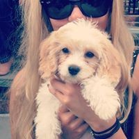 Profile Picture of Amanda Rinaldi (@amanda-rinaldi-6) on Quora