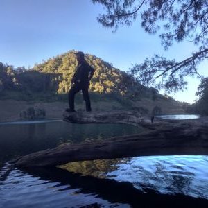 Profile Picture of James Bram (@JamesBram19) on Twitter