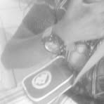 Profile Picture of Celicia Joseph (@celicia.joseph.2025) on Facebook