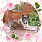 Profile Picture of Julie Cryer (@juliepuppyowner) on Facebook