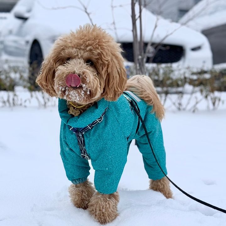 Profile Picture of Ted Mazur (@ted.mazur) on Tiktok