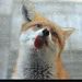 Profile Picture of Alex Hayden (@alexraehayden) on Pinterest