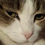 Profile Picture of Dennis Staton (@dennisstaton) on Instagram
