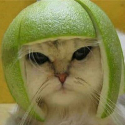 Profile Picture of David Aimone (@dkaimone) on Twitter