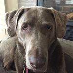 Profile Picture of Emma Corey (@corey_emma) on Instagram