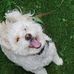 Profile Picture of Toby Stinebaugh (@toby.stinebaugh) on Facebook