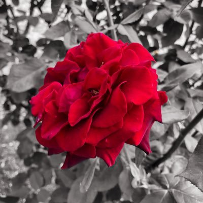 Profile Picture of Jordan Cahill (@JordanC72178575) on Twitter