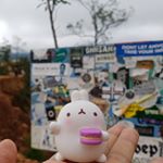 Profile Picture of Violet Kim (@violet.kim) on Instagram