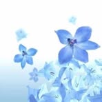 Profile Picture of Leonardo Andrzejewski (@leonardo.andrzejewski.52) on Facebook