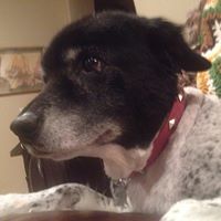 Adam Brydon - Pinterest Profile Picture of Adam Brydon (@adambrydon1) on Pinterest