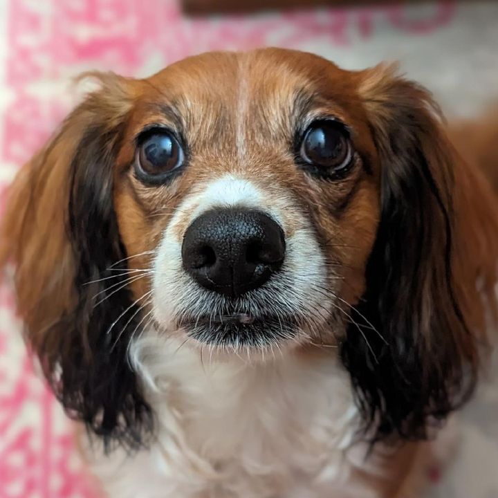 Profile Picture of Mark Brooks (@markbrooksartist) on Tiktok