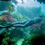 Chris Bradbury - Instagram Profile Picture of Chris Bradbury (@cb_free87) on Instagram