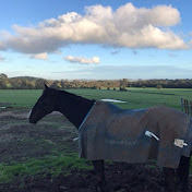 Profile Picture of Peter Mitchell (@PeterMitchell-tk3yy) on Youtube