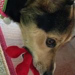 Profile Picture of Nicholas_Cicero (@nicholas_cicero) on Instagram