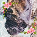 Profile Picture of Shawna Lori Zimmerman (@shawnalorizimmerman) on Instagram