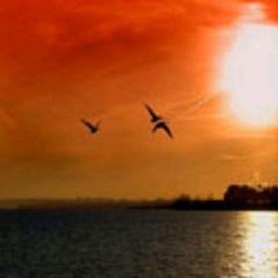 Profile Picture of Michelle Hooker (@MichelleHooke13) on Twitter