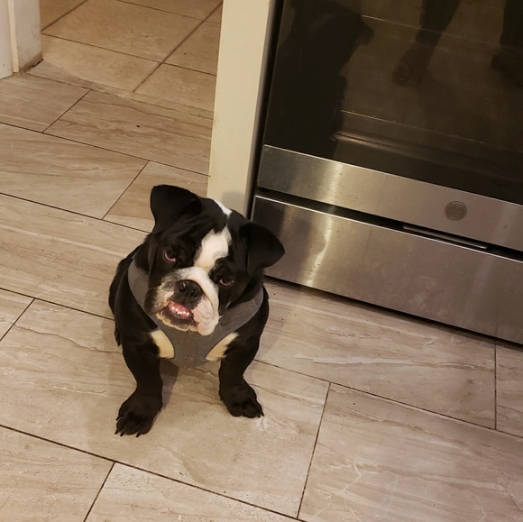 Profile Picture of Christine Onativia (@christineona) on Poshmark