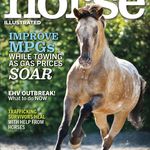 Profile Picture of Horse Illustrated (@horseillustrated) on Instagram