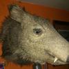 Profile Picture of Daniel Mosier (@@danielmosier420) on Tiktok